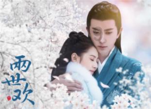 ST起步(603557.SH)：不属于浙江省凤凰行动计划的对象
